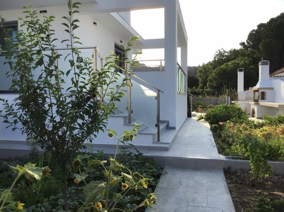 Zante Luxury Apartment Argassi Eksteriør billede